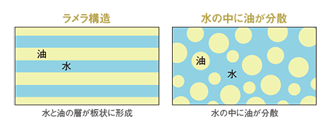 ラメラ構造：水と油の層が板状に形成