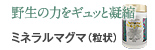 野生の力をギュッと凝縮：ミネラルマグマ（粒状）