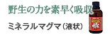 野生の力を素早く吸収：ミネラルマグマ（液状）